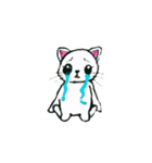 ねこよりネコ（個別スタンプ：29）