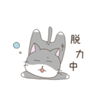 はちわれネコのポーカーフェイス（個別スタンプ：17）