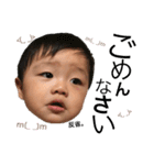 息子の写真STAMP（個別スタンプ：17）