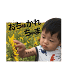 息子の写真STAMP（個別スタンプ：32）