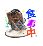 息子の写真STAMP（個別スタンプ：35）