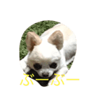 とぼの日常（個別スタンプ：4）