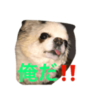 とぼの日常（個別スタンプ：5）