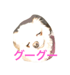とぼの日常（個別スタンプ：6）