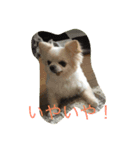とぼの日常（個別スタンプ：7）