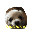 とぼの日常（個別スタンプ：8）