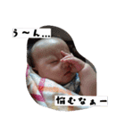 N家族（個別スタンプ：2）