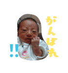 N家族（個別スタンプ：4）