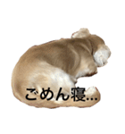 ターボの日常（個別スタンプ：18）