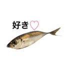 魚です（個別スタンプ：2）