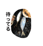 魚です（個別スタンプ：7）