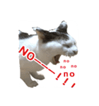ねこの鈴木さん（個別スタンプ：16）