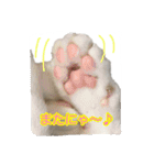 ねこの鈴木さん（個別スタンプ：32）