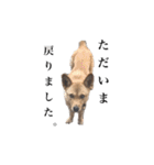 のら犬みたいなチョコビだよ（個別スタンプ：4）