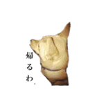 のら犬みたいなチョコビだよ（個別スタンプ：15）