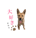 のら犬みたいなチョコビだよ（個別スタンプ：18）