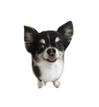 renrenhappy（個別スタンプ：2）