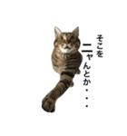 我が家の猫様。（個別スタンプ：22）