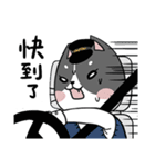 hey！car-yafecat（個別スタンプ：3）
