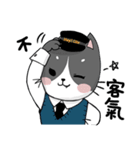 hey！car-yafecat（個別スタンプ：4）