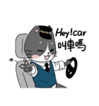 hey！car-yafecat（個別スタンプ：8）