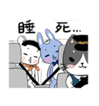 hey！car-yafecat（個別スタンプ：14）