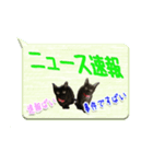★博多弁の黒猫の親子★実写版（個別スタンプ：39）