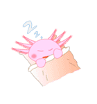 Wooperkung（個別スタンプ：40）