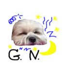 Sunny Lovely Dog（個別スタンプ：6）