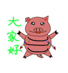 pig live（個別スタンプ：1）