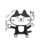 白黒ネコ その1（個別スタンプ：3）