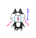 白黒ネコ その1（個別スタンプ：12）