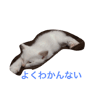 なにしてるの？？（個別スタンプ：2）