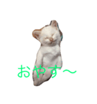 なにしてるの？？（個別スタンプ：3）