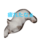 なにしてるの？？（個別スタンプ：4）