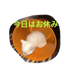 なにしてるの？？（個別スタンプ：6）