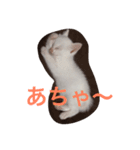 なにしてるの？？（個別スタンプ：8）