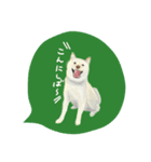 柴や style（個別スタンプ：1）