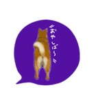 柴や style（個別スタンプ：4）