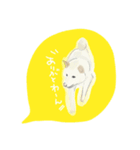 柴や style（個別スタンプ：5）