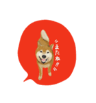 柴や style（個別スタンプ：7）