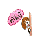 Funny Beagle (Thai version)（個別スタンプ：1）