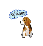 Funny Beagle (Thai version)（個別スタンプ：2）