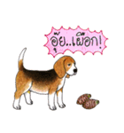 Funny Beagle (Thai version)（個別スタンプ：4）