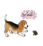 Funny Beagle (Thai version)（個別スタンプ：5）