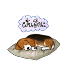 Funny Beagle (Thai version)（個別スタンプ：6）