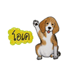 Funny Beagle (Thai version)（個別スタンプ：7）