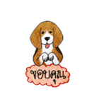 Funny Beagle (Thai version)（個別スタンプ：8）