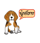 Funny Beagle (Thai version)（個別スタンプ：9）