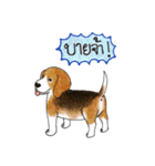 Funny Beagle (Thai version)（個別スタンプ：10）